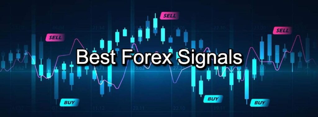 Top Forex Signals Telegram Group of 2023: Why Crypto Whale Pumps Stands Out